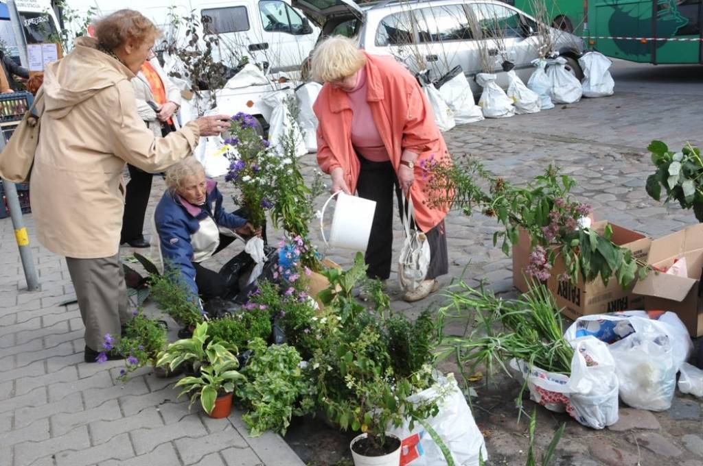 Autors: Dainis Ģelzis