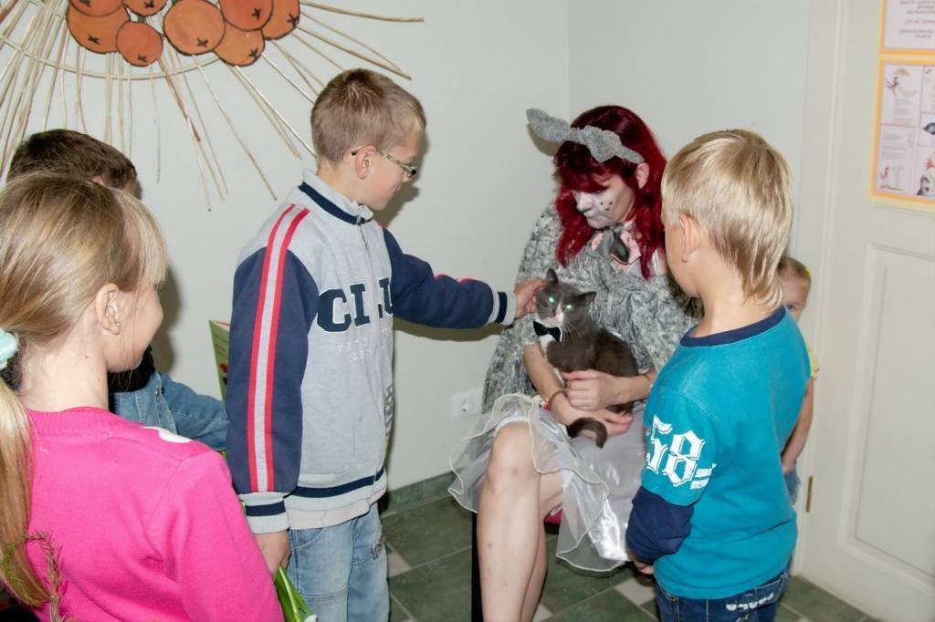Autors: Normunds Zeniņš