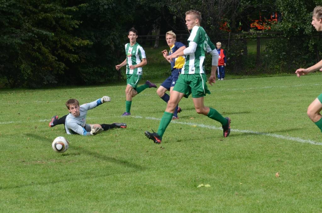 Autors: Uldis Dobelis