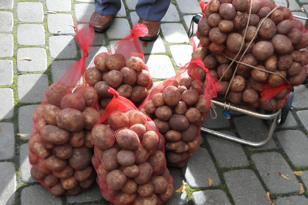 Autors: Dainis Ģelzis