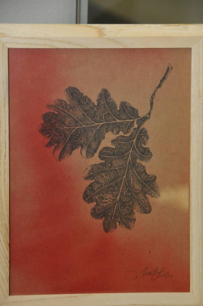 Liepājas Centrālās zinātniskās bibliotēkas filiālē – bibliotēkā "Varavīksne" skatāma mākslinieču Agneses Matisones un Kristīnes Beķeres-Brīvkalnes dubultizstādes "Zaķi lapās".

Izstāde apskatāma līdz 30.novembrim.
Autors: ReKurZeme, portāls