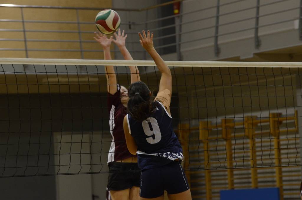 Autors: Uldis Dobelis