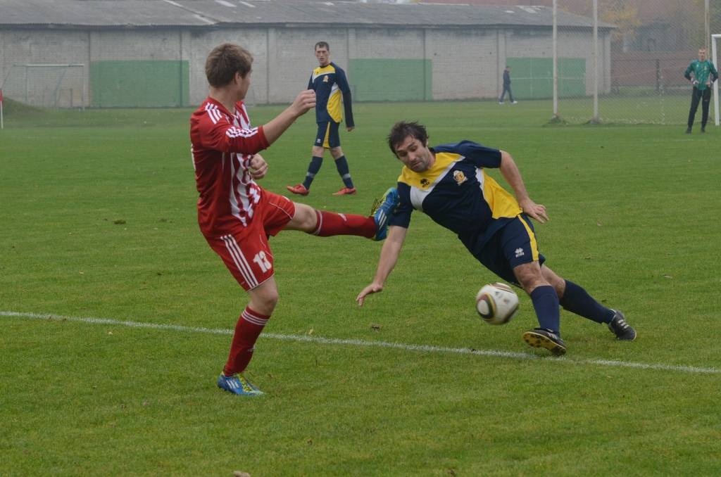 Autors: Uldis Dobelis