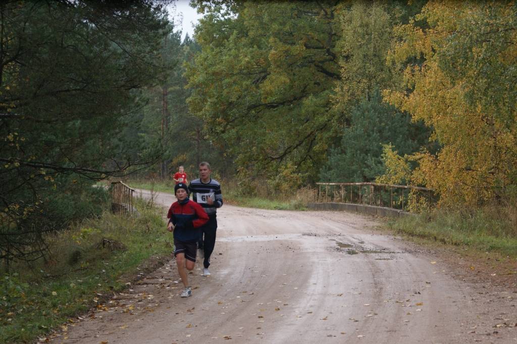 Autors: Daiga Gabrūna