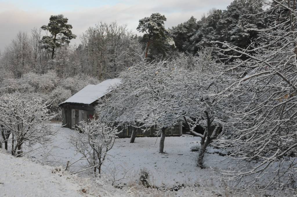 Ziema piektdien, 30. novembrī, Grobiņas novadā.
Autors: ReKurZeme, portāls
