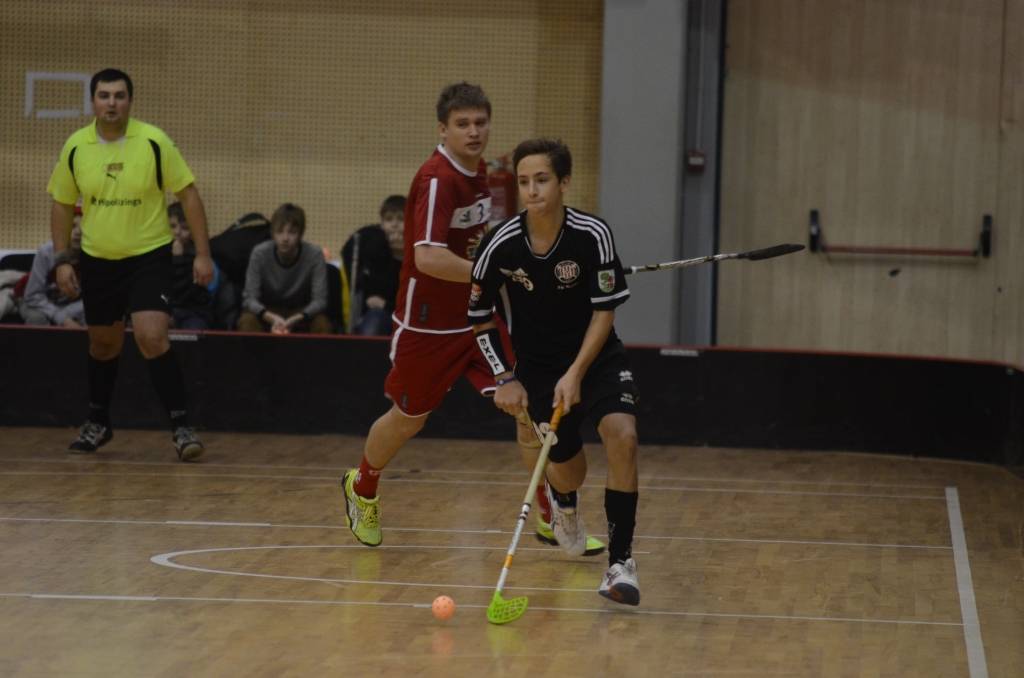 Autors: Uldis Dobelis