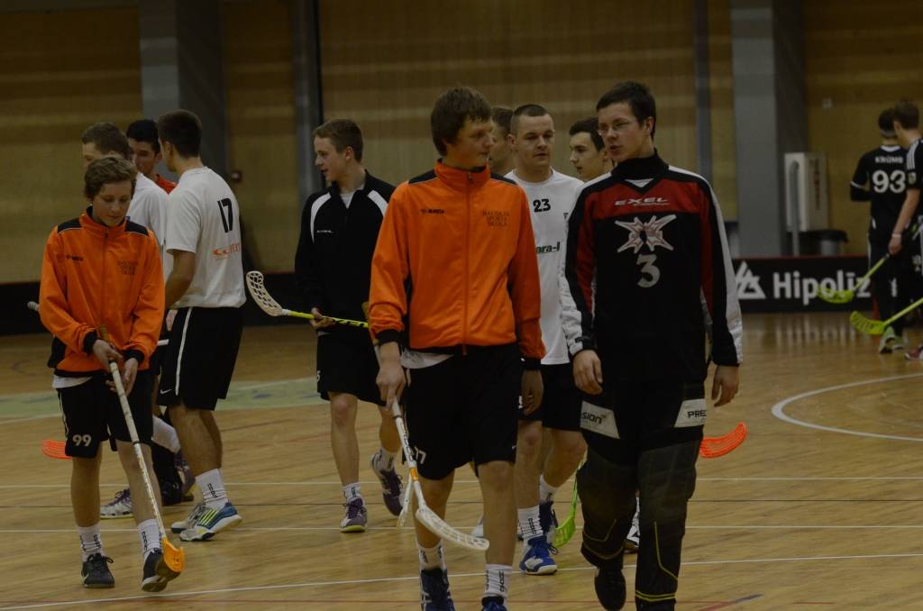 Autors: Uldis Dobelis