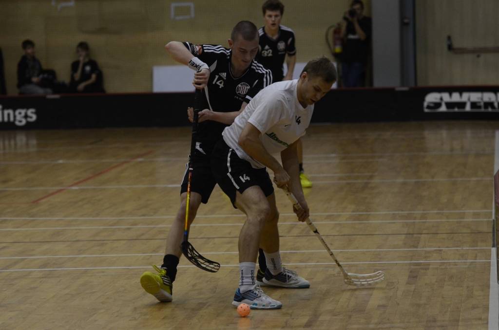 Autors: Uldis Dobelis