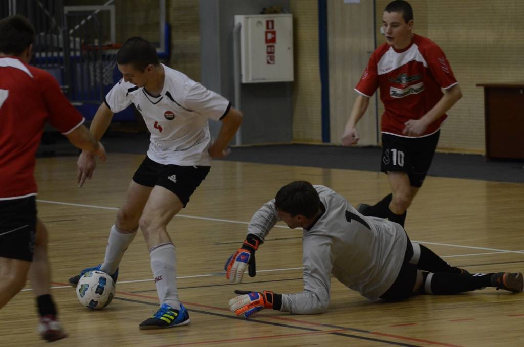 Autors: Uldis Dobelis