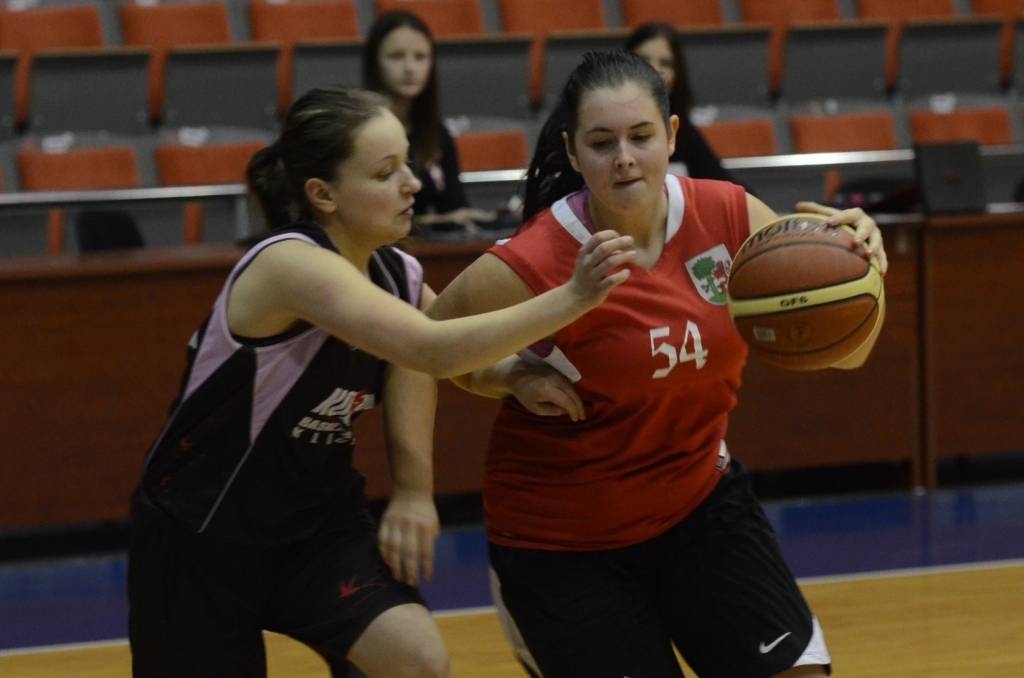 Autors: Uldis Dobelis