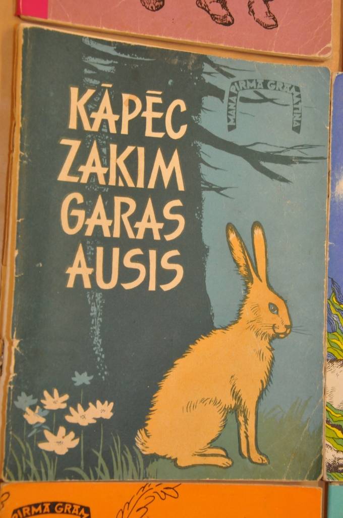 Kurzemes dizaina centrā sadarbībā ar papīra tirdzniecības kompāniju "Arctic Paper Baltic States" atklāta Latvijā izdoto ilustrēto bērnu grāmatu pirmizdevumu izstāde.
Izstāde līdz nākamā gada 15. februārim apskatāma "Jelgavas tipogrāfijas"...
Autors: ReKurZeme, portāls