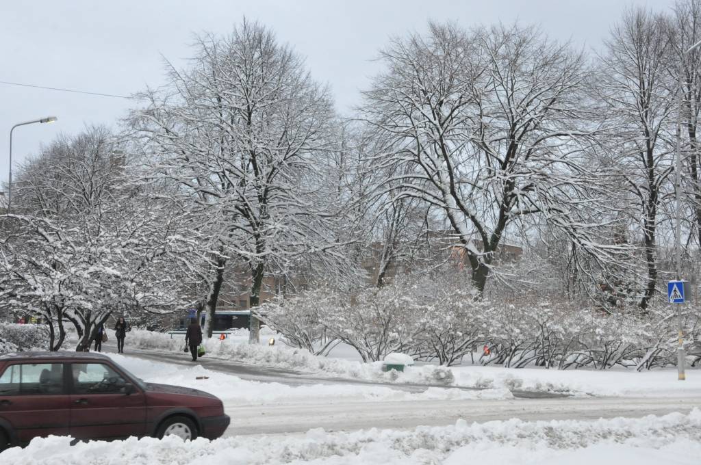 Pirmdien, 3. decembrī, Liepājā uzsnigusi bieza sniega kārta, radot grūtības gājējiem un autobraucējiem. Taču, ziemas prieku baudītāji tagad var ļauties iemīļotajām nodarbēm.
Autors: ReKurZeme, portāls