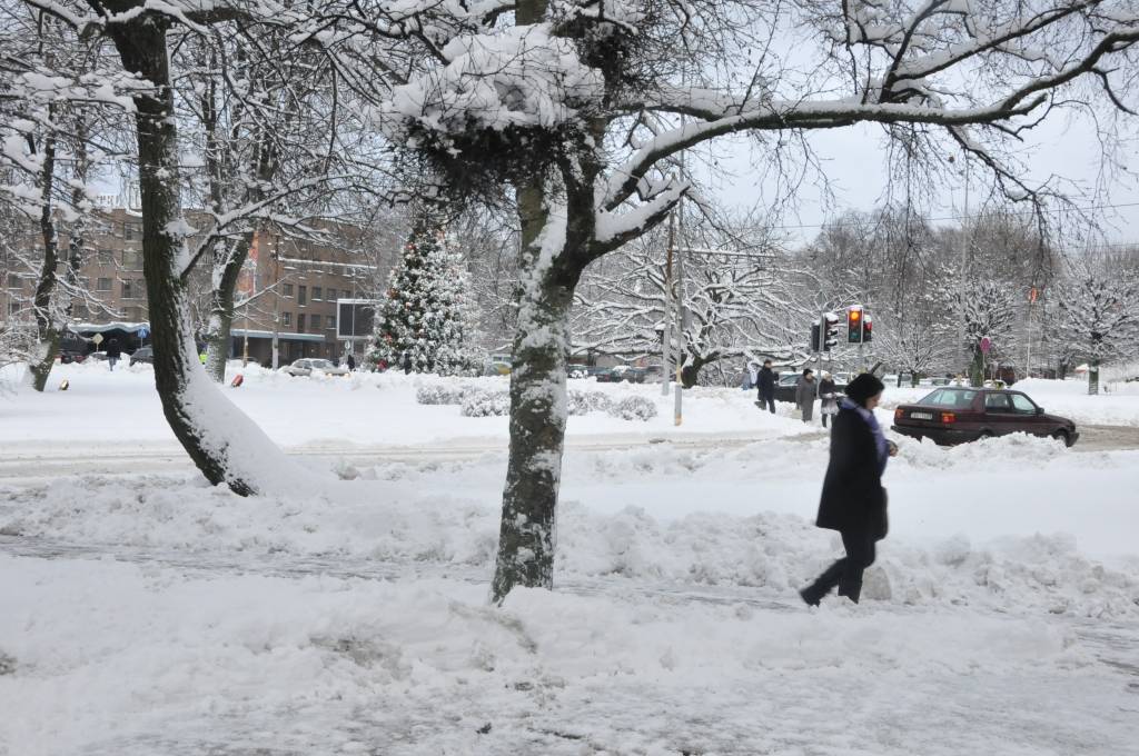 Pirmdien, 3. decembrī, Liepājā uzsnigusi bieza sniega kārta, radot grūtības gājējiem un autobraucējiem. Taču, ziemas prieku baudītāji tagad var ļauties iemīļotajām nodarbēm.
Autors: ReKurZeme, portāls