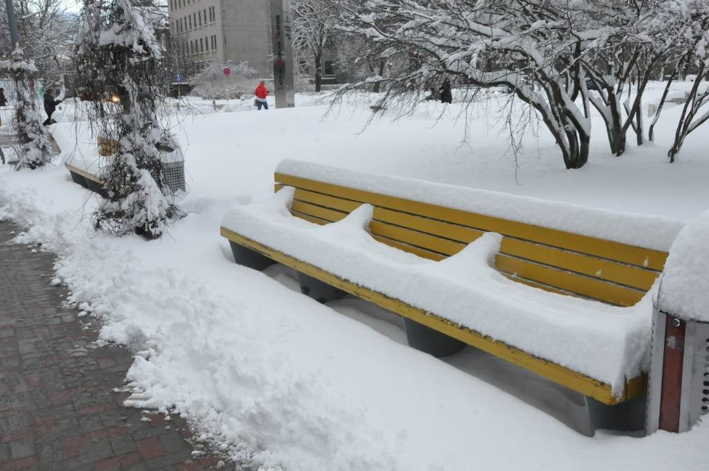 Pirmdien, 3. decembrī, Liepājā uzsnigusi bieza sniega kārta, radot grūtības gājējiem un autobraucējiem. Taču, ziemas prieku baudītāji tagad var ļauties iemīļotajām nodarbēm.
Autors: ReKurZeme, portāls