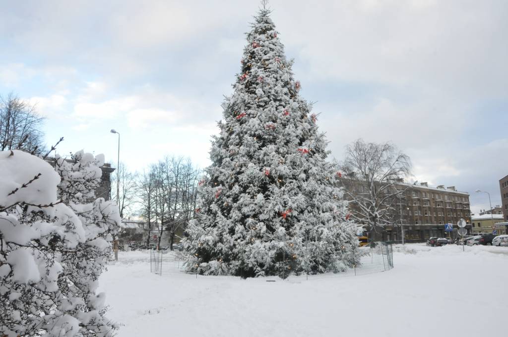 Pirmdien, 3. decembrī, Liepājā uzsnigusi bieza sniega kārta, radot grūtības gājējiem un autobraucējiem. Taču, ziemas prieku baudītāji tagad var ļauties iemīļotajām nodarbēm.
Autors: ReKurZeme, portāls