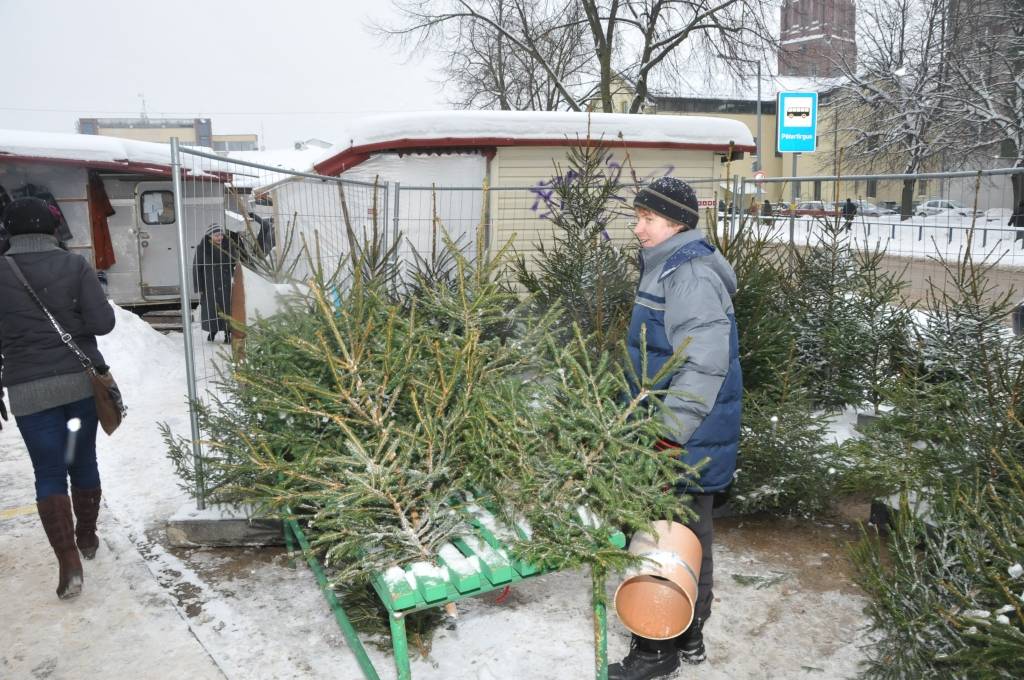 Autors: Dainis Ģelzis