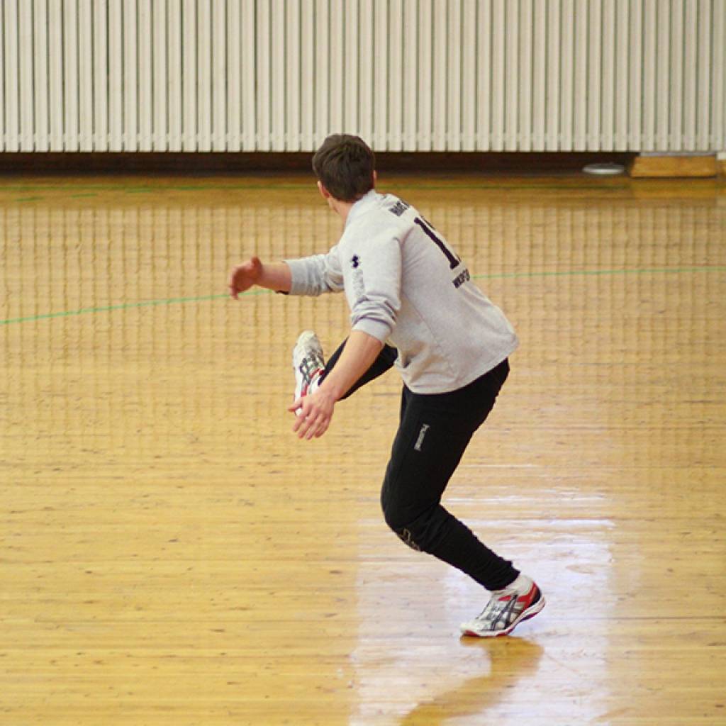 Autors: Mārtiņš Zitmanis