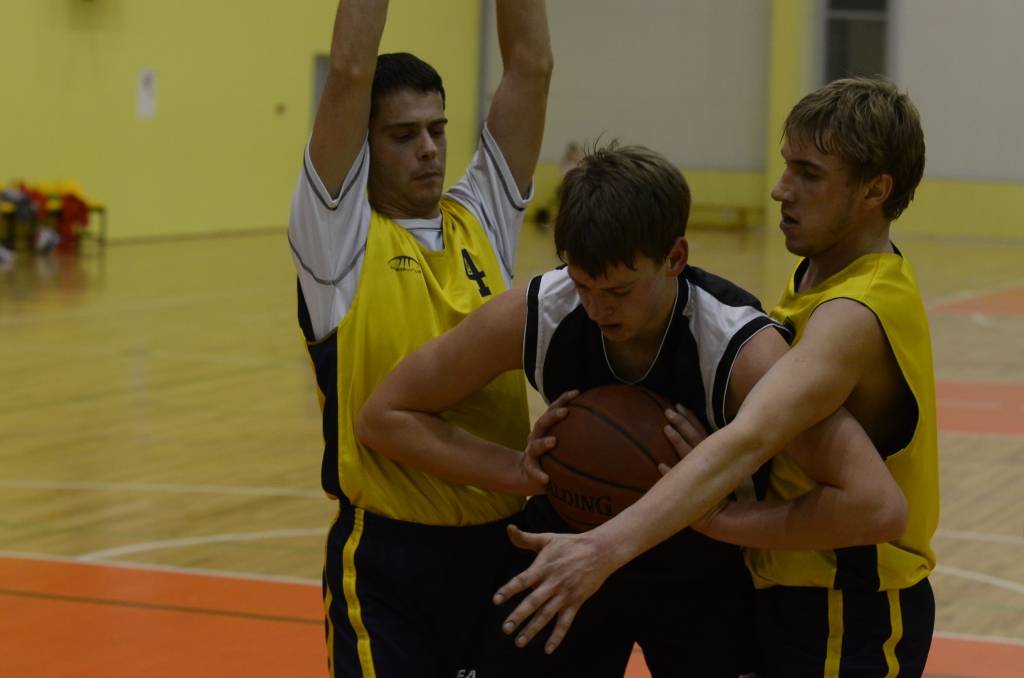 Autors: Uldis Dobelis