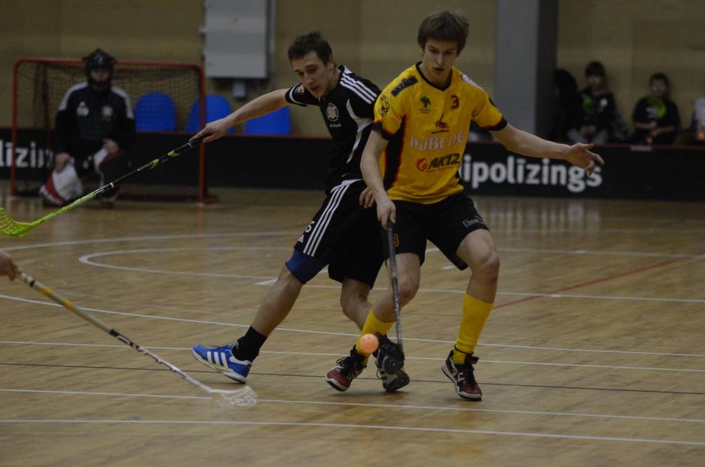 Autors: Uldis Dobelis