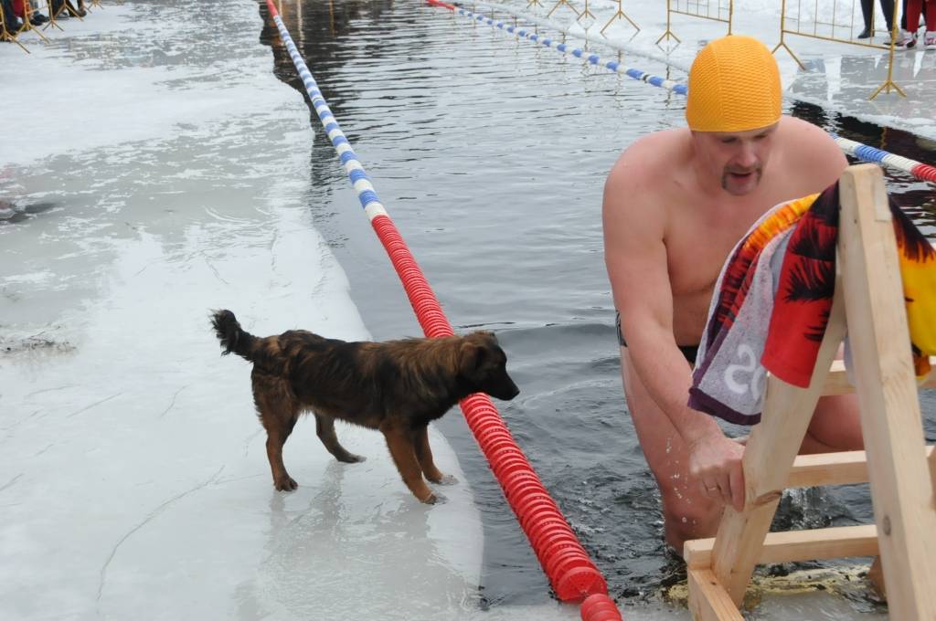 Autors: Dainis Ģelzis