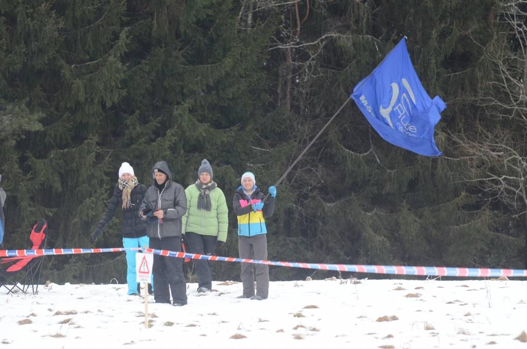 Autors: Uldis Dobelis