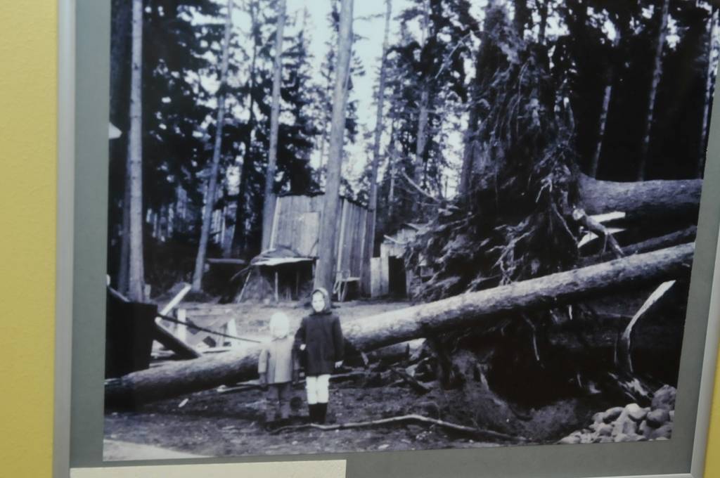 Grobiņā Zentas Mauriņas piemiņas istabās joprojām apskatāma foto izstāde "Grobiņas hronika fotogrāfijās", kas tika uzstādīta par godu pilsētas 318. dzimšanas dienai, kas tika atzīmēta februāra beigās.
Grobiņnieki aicinājumam nest uz Zentas...
Autors: Ieva Kupše