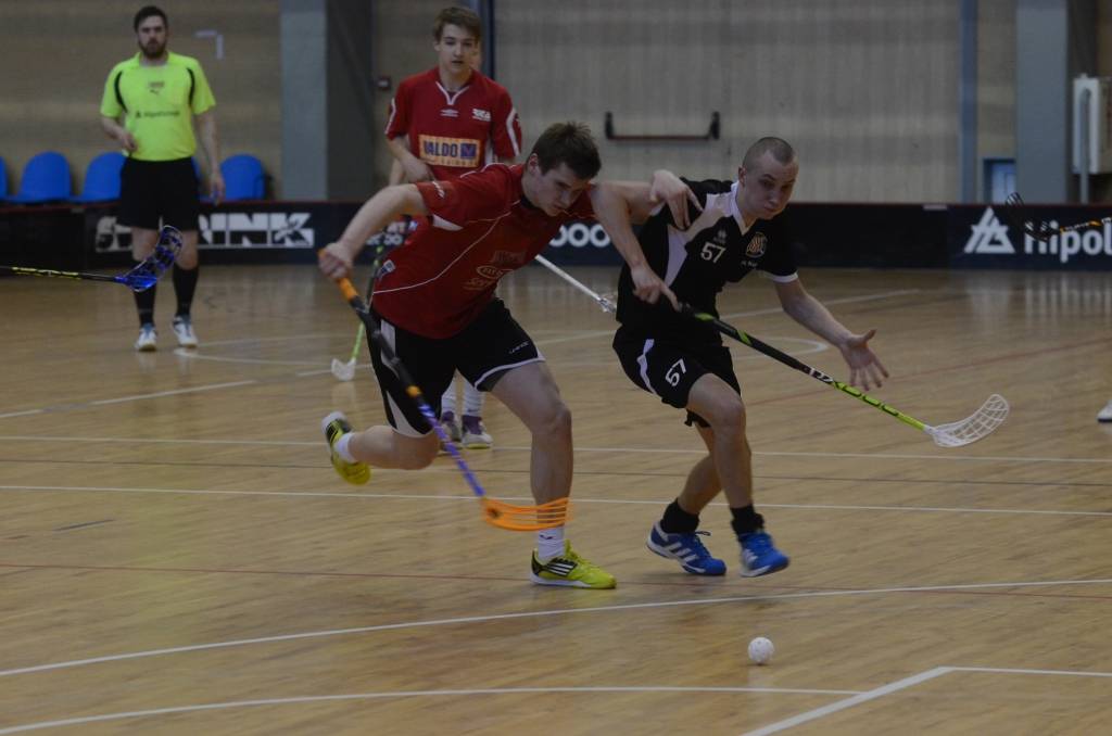 Autors: Uldis Dobelis