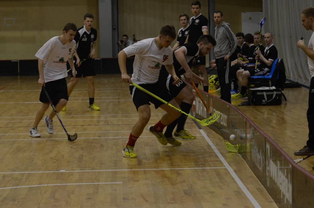 Autors: Uldis Dobelis