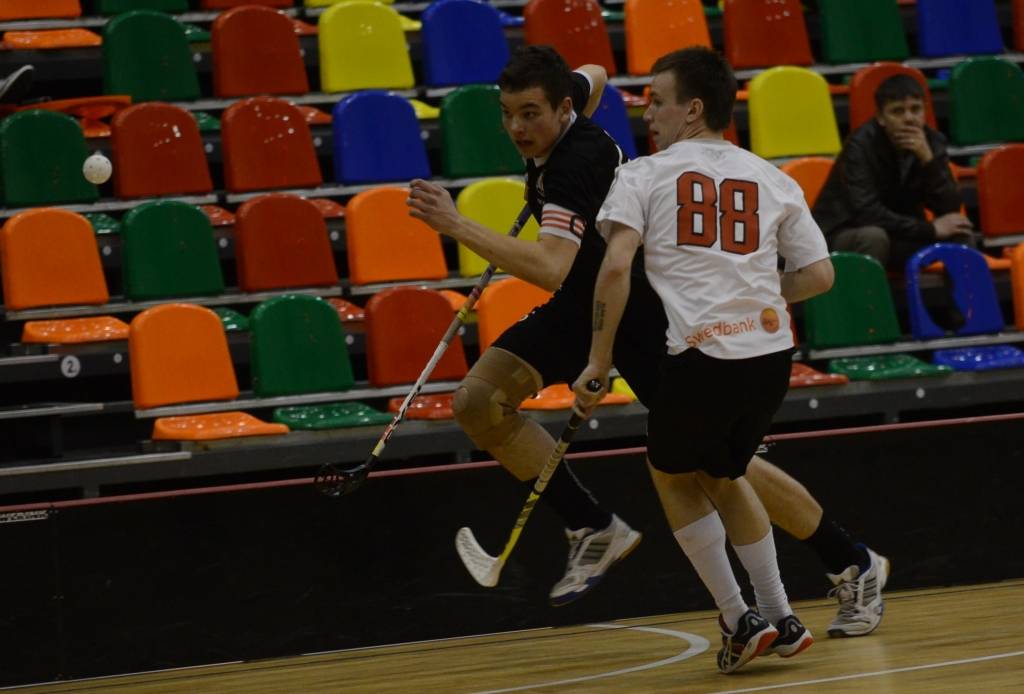 Autors: Uldis Dobelis