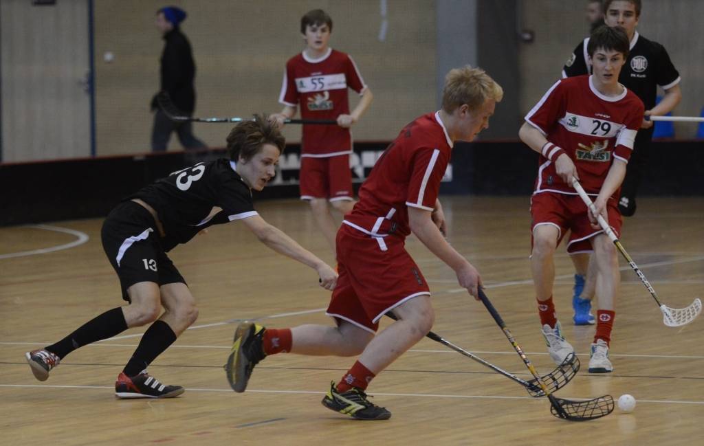 Autors: Uldis Dobelis