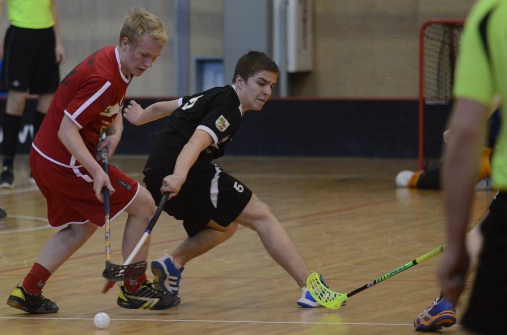 Autors: Uldis Dobelis