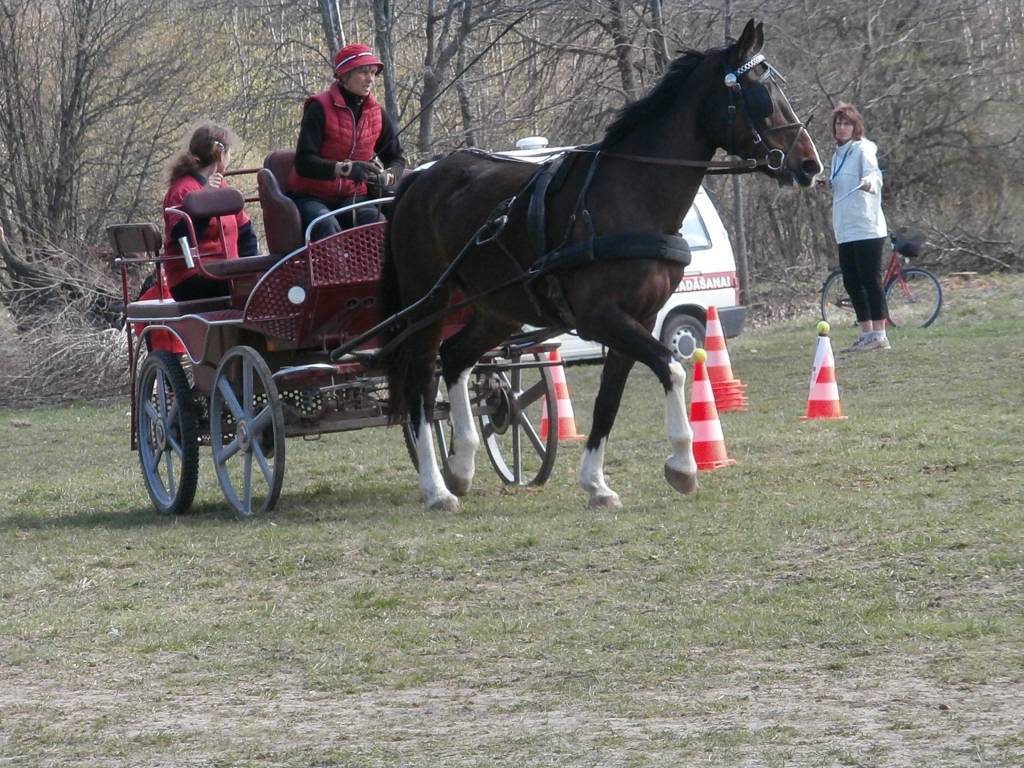 Svētdien, 5. maijā, sporta biedrība 