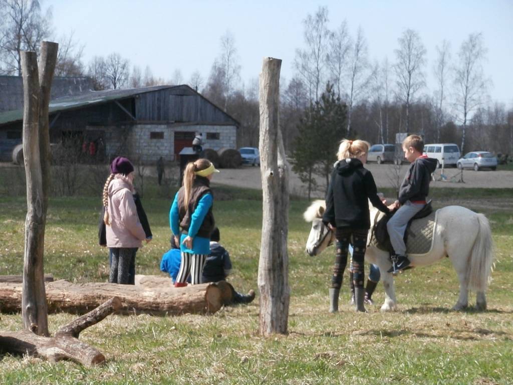 Svētdien, 5. maijā, sporta biedrība "Kanu Atvars" Virgas pagasta "Stiebriņos" organizēja vizināšanos sporta pajūgos, zirgu un poniju mugurā, kā arī citas aktivitātes, kuras saistītas ar zirgiem, informē pasākuma organizatore Dzintra...
Autors: Ilze Vainovska