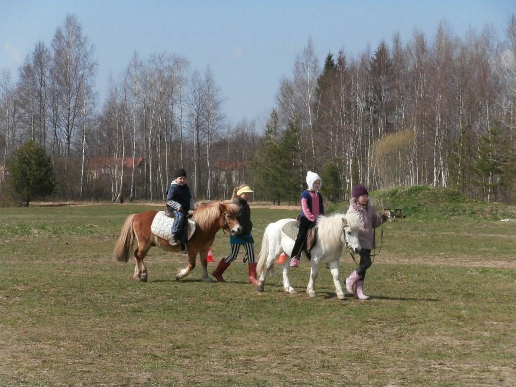 Svētdien, 5. maijā, sporta biedrība "Kanu Atvars" Virgas pagasta "Stiebriņos" organizēja vizināšanos sporta pajūgos, zirgu un poniju mugurā, kā arī citas aktivitātes, kuras saistītas ar zirgiem, informē pasākuma organizatore Dzintra...
Autors: Ilze Vainovska