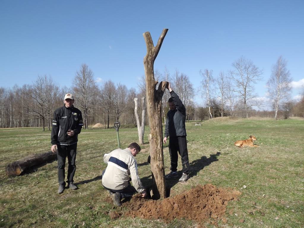 Svētdien, 5. maijā, sporta biedrība "Kanu Atvars" Virgas pagasta "Stiebriņos" organizēja vizināšanos sporta pajūgos, zirgu un poniju mugurā, kā arī citas aktivitātes, kuras saistītas ar zirgiem, informē pasākuma organizatore Dzintra...
Autors: Ilze Vainovska
