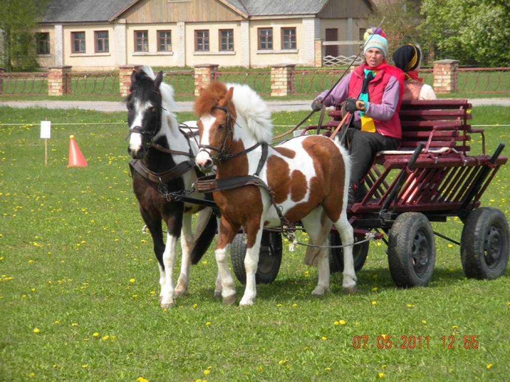 Autors: Publicitātes foto