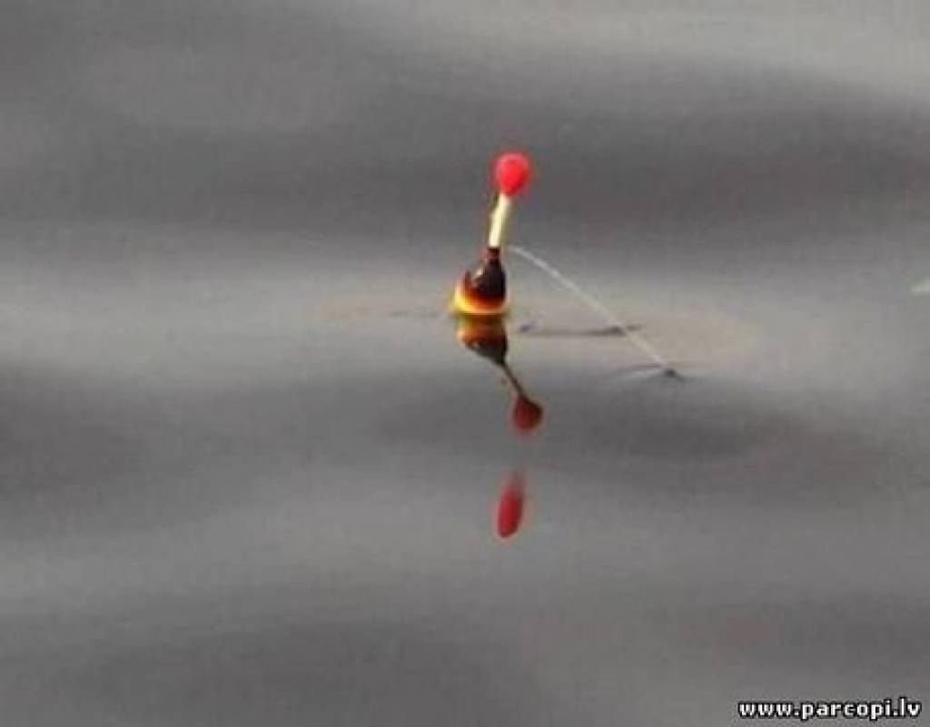 Autors: www.parcopi.lv