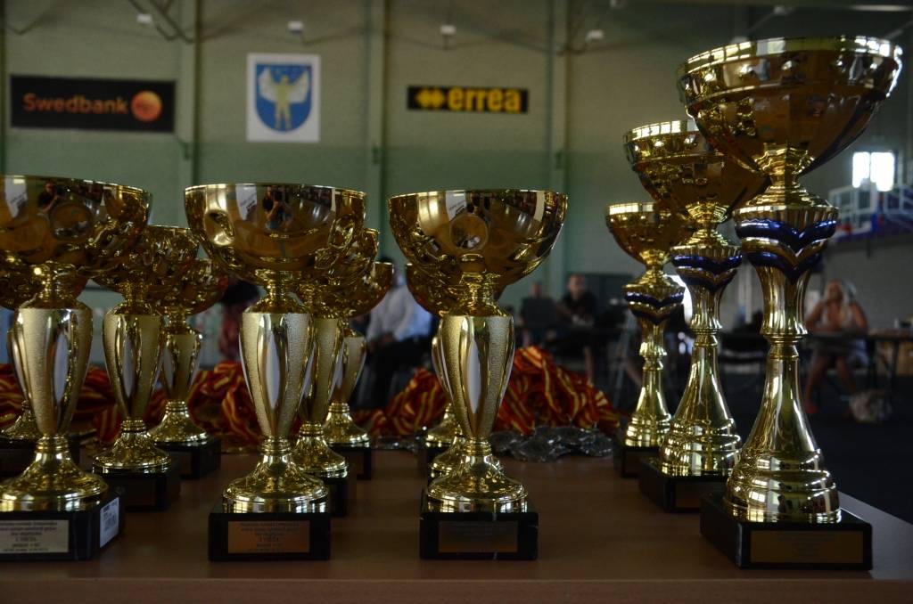 Autors: Uldis Dobelis