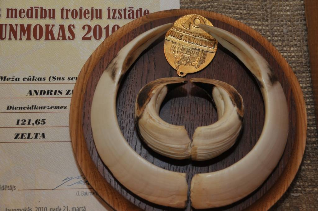 Autors: Dainis Ģelzis