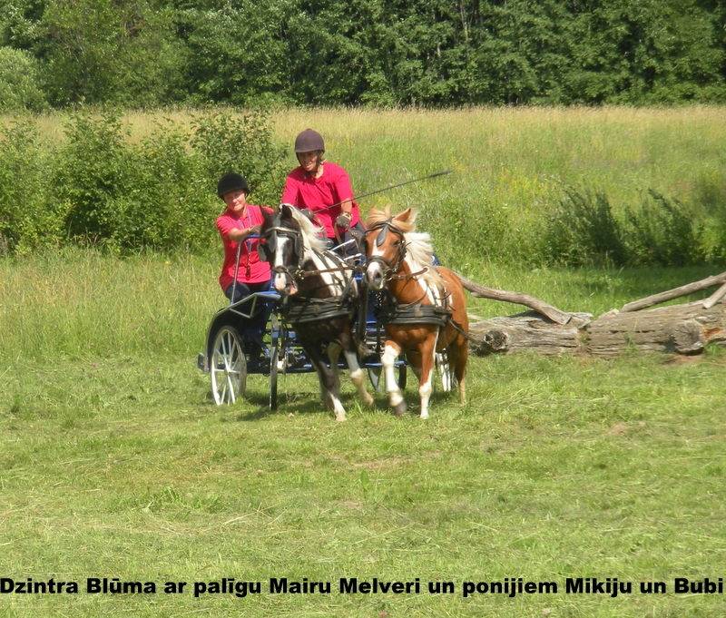 Autors: Kristīne Ūrzula, Santa Daukante