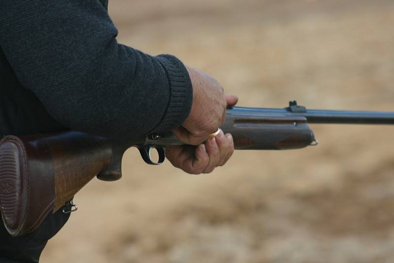 Autors: allforhunt.com