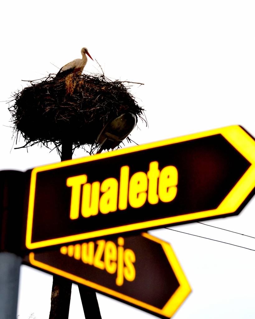 “Māja krustcelēs”.
Autors: Evija Brikmane