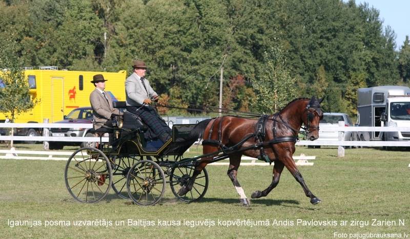 Autors: No Dzintras Blūmas arhīva