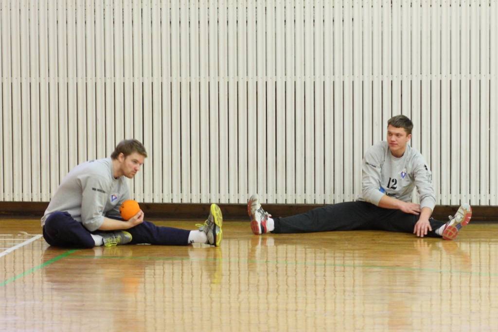 Autors: Mārtiņš Zitmanis