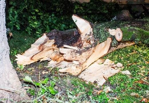 Autors: Publicitātes foto