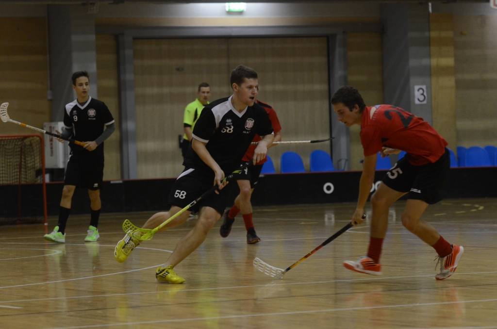 Autors: Uldis Dobelis