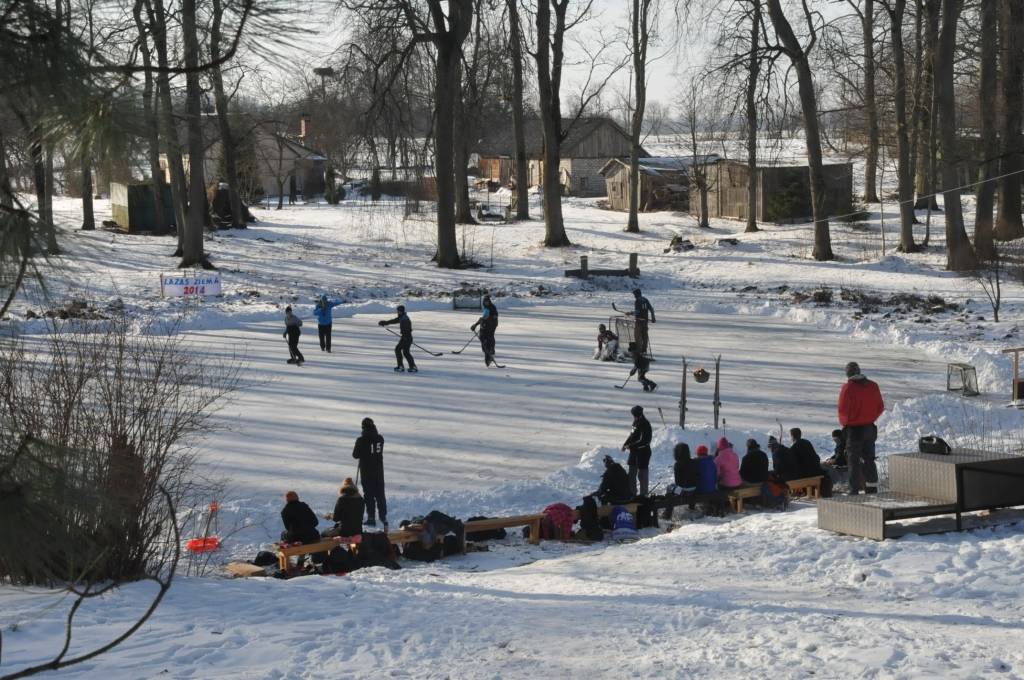 Autors: Dainis Ģelzis