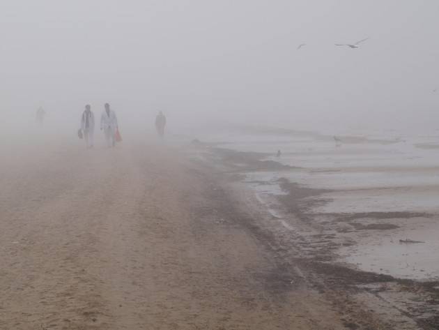 Autors: Publicitātes foto