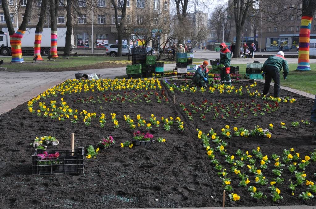 Autors: Dainis Ģelzis