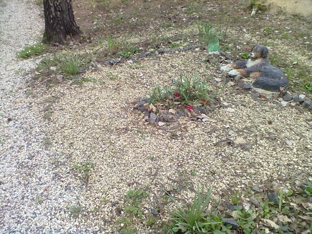 Autors: Publicitātes foto